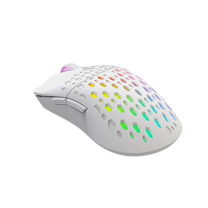  XTRIKE ME GM209W RGB GAMING MOUSE