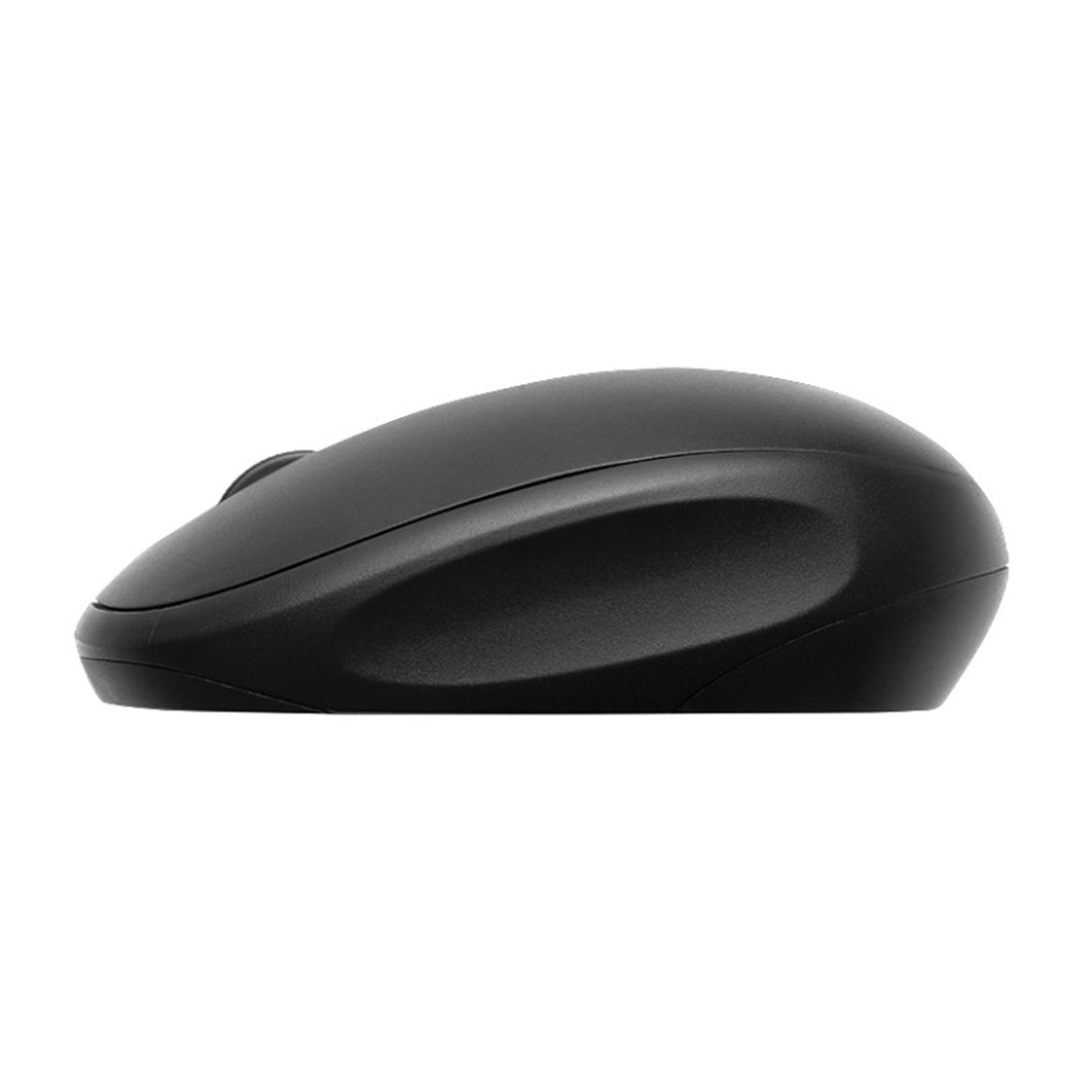 Black computer mouse on a white background